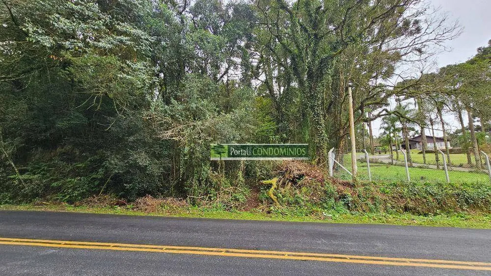 Terreno, 7 hectares - Foto 6