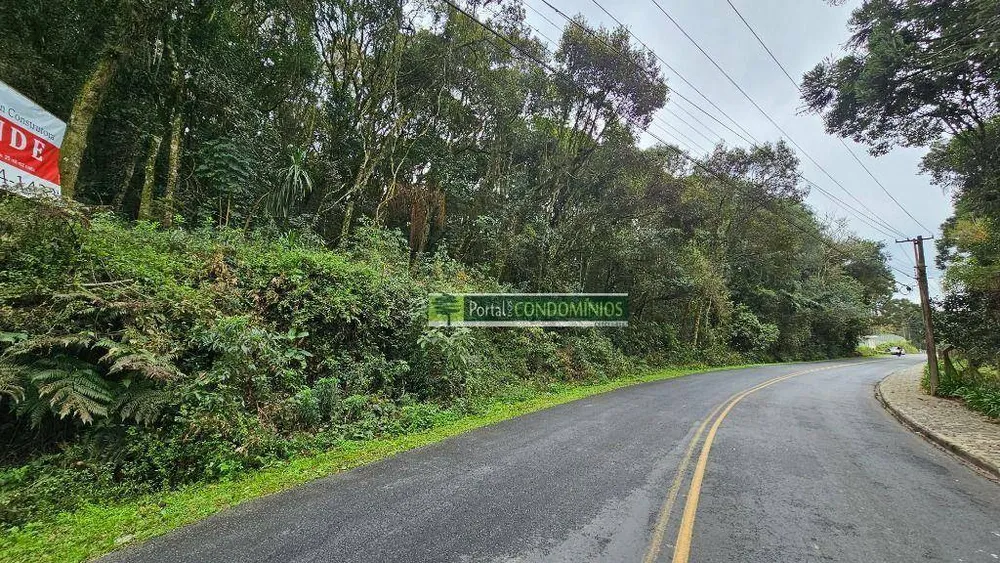 Terreno, 7 hectares - Foto 12