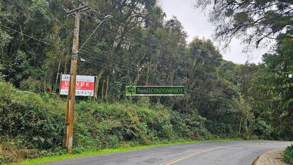 Terreno, 7 hectares - Foto 8