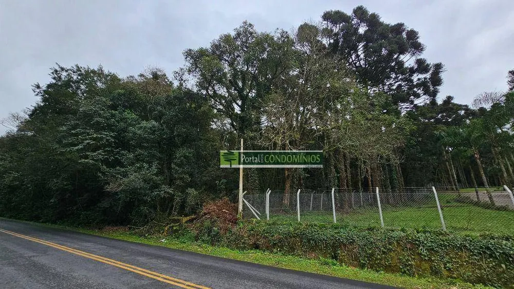 Terreno, 7 hectares - Foto 1