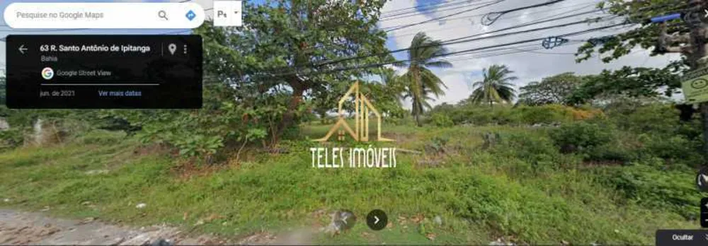 Terreno, 3 hectares - Foto 3