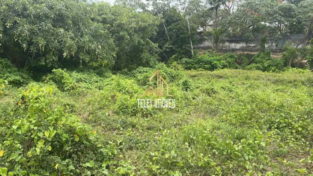 Terreno, 1 hectares - Foto 6