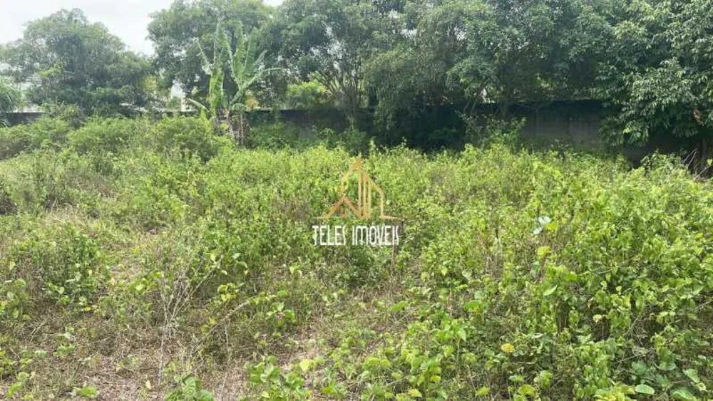 Terreno, 1 hectares - Foto 4
