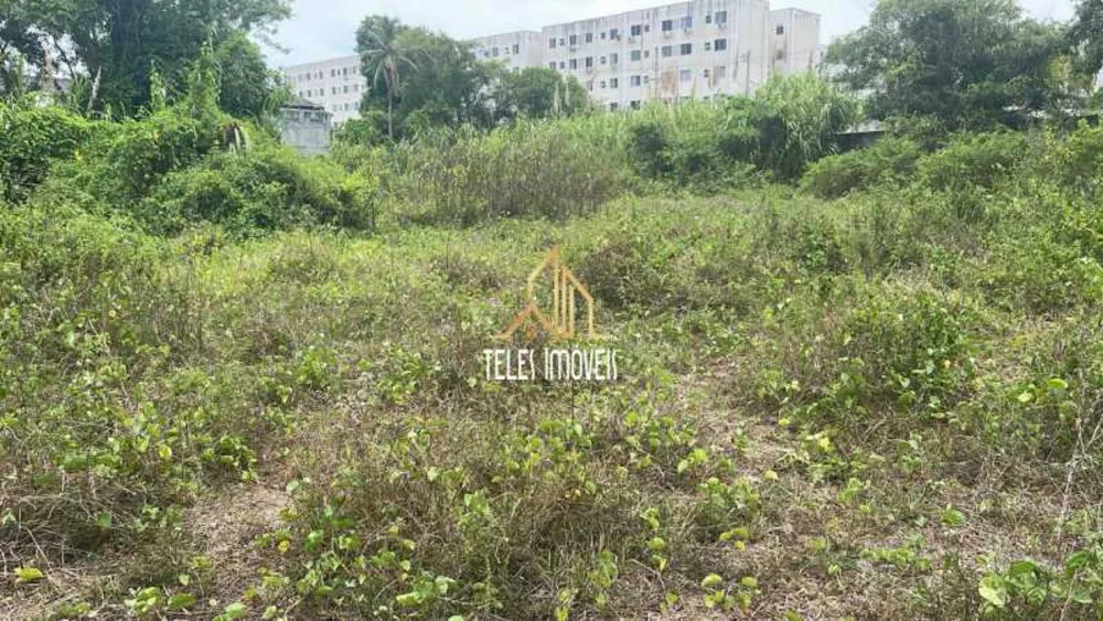 Terreno, 1 hectares - Foto 3