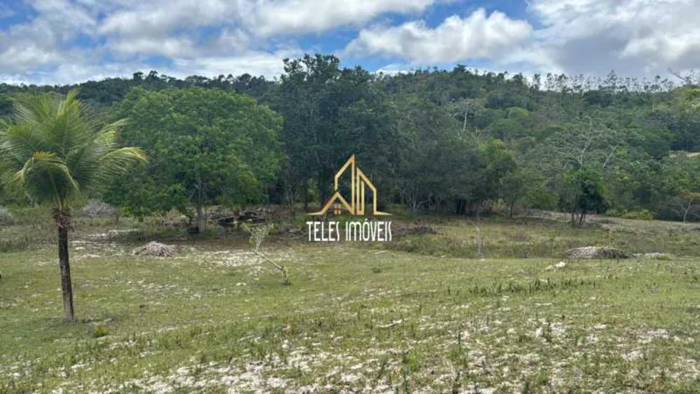Fazenda, 11 hectares - Foto 4