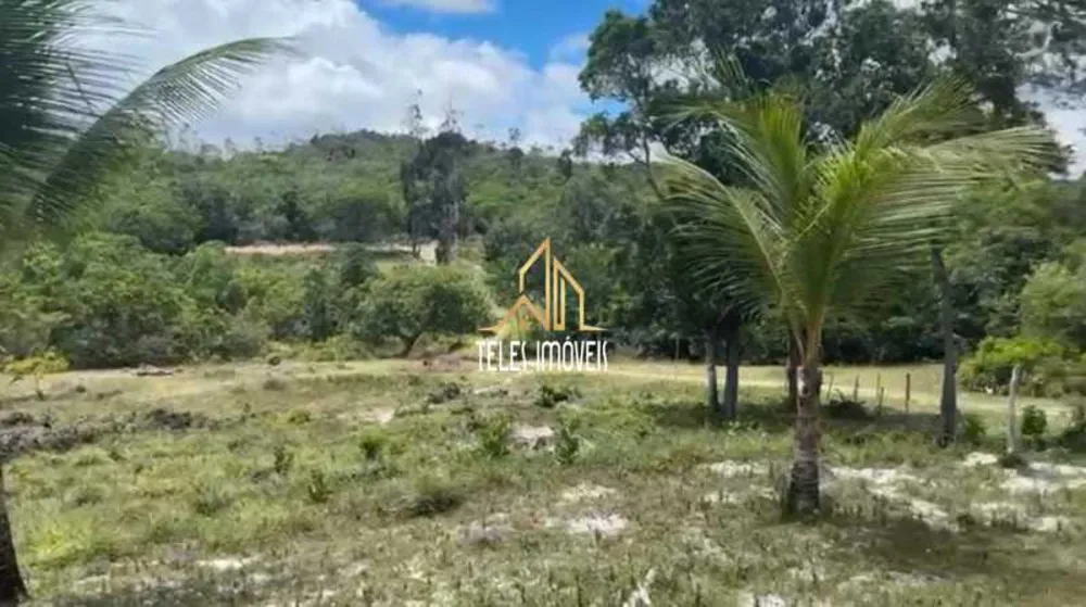 Fazenda, 11 hectares - Foto 7