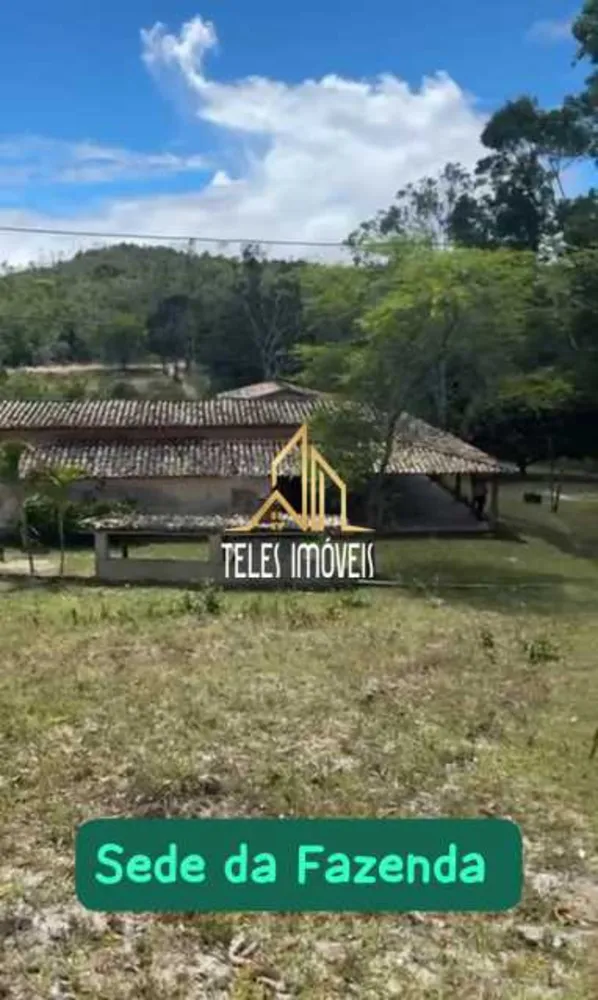 Fazenda, 11 hectares - Foto 6
