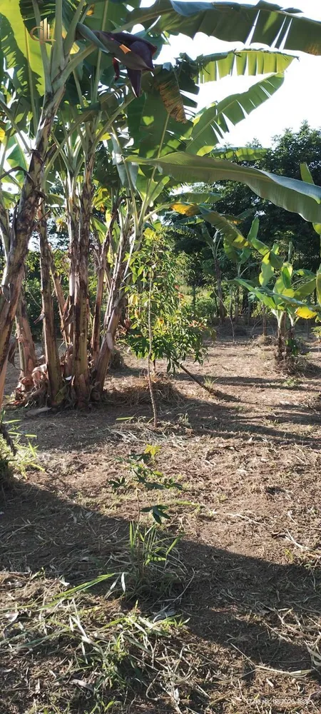 Casa de Condomínio - Foto 7