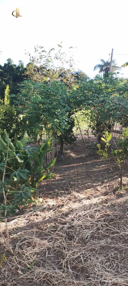 Casa de Condomínio - Foto 3