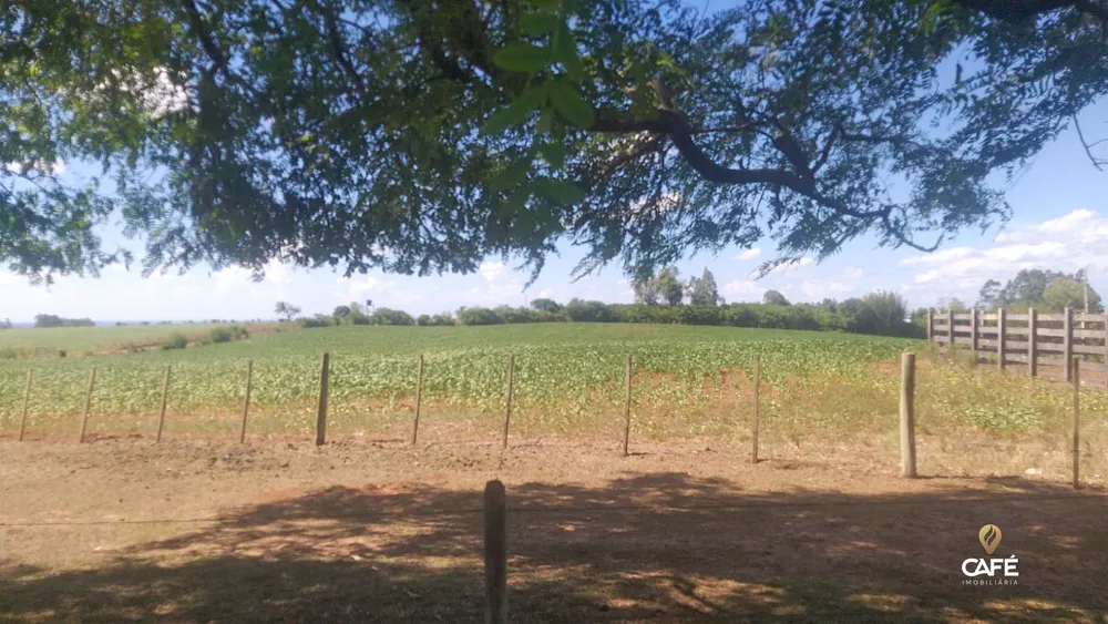 Fazenda, 630000 hectares - Foto 4