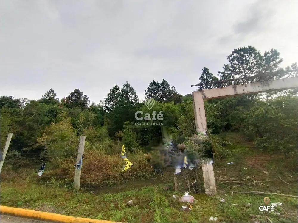 Terreno, 5000 m² - Foto 2
