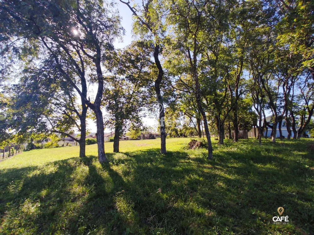 Terreno, 1000 m² - Foto 4