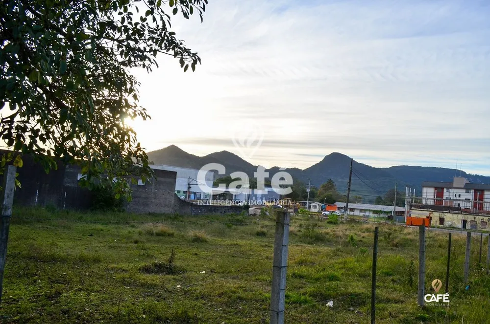 Terreno, 2520 m² - Foto 4