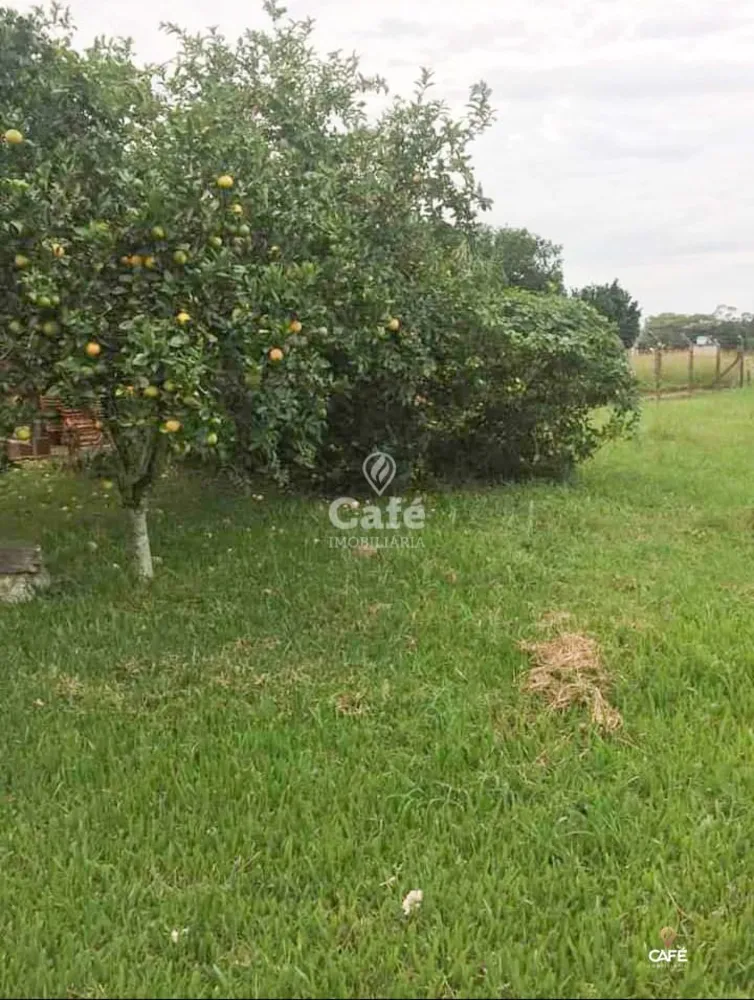 Chácara, 4 quartos, 2000 hectares - Foto 1