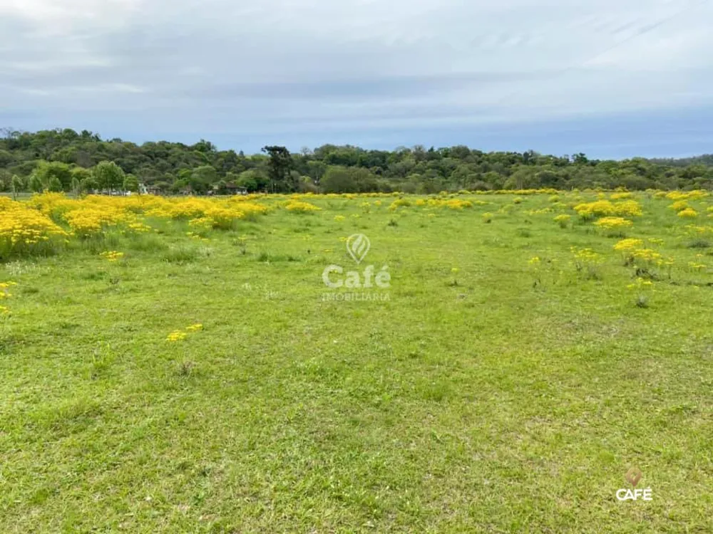 Loteamento e Condomínio, 50000 hectares - Foto 3