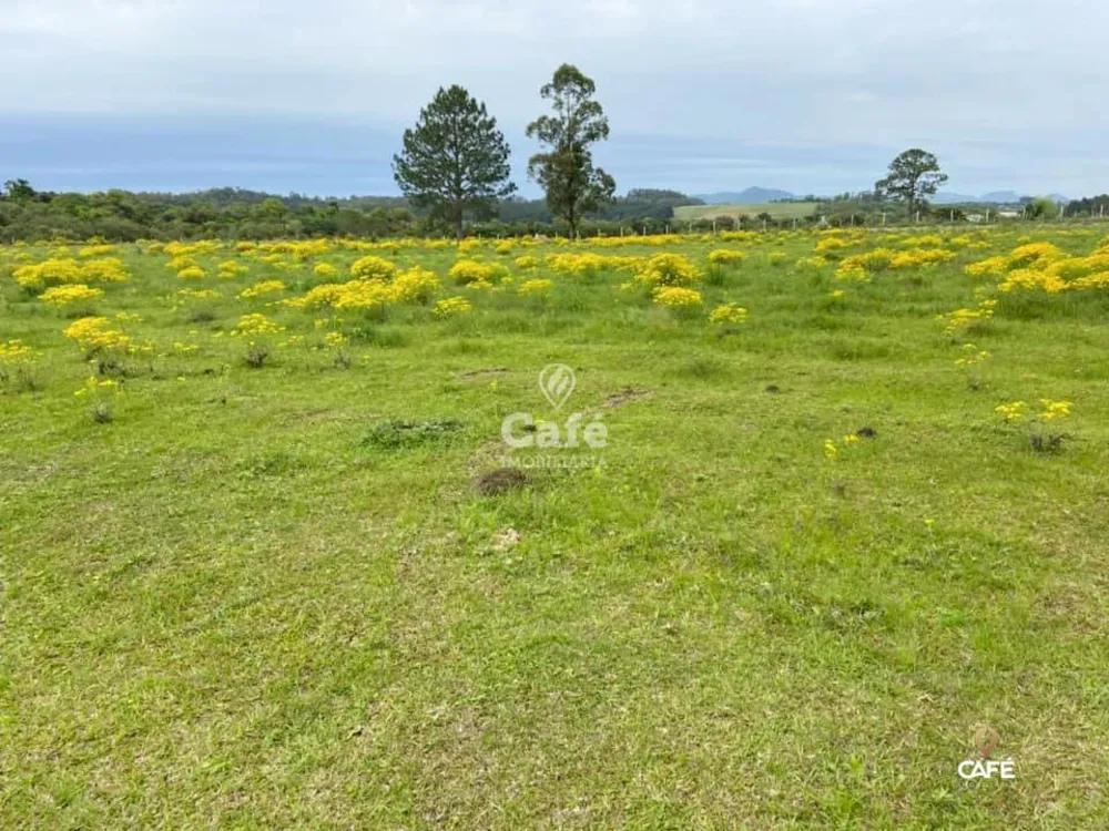 Loteamento e Condomínio, 50000 hectares - Foto 1