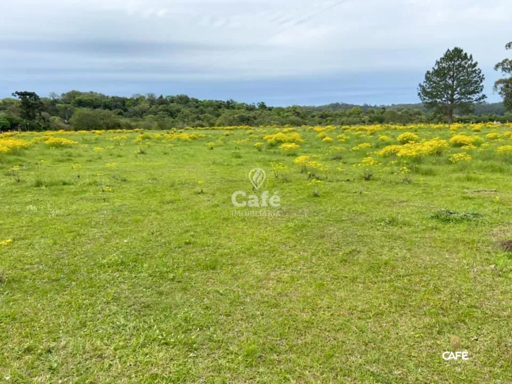 Loteamento e Condomínio, 50000 hectares - Foto 2