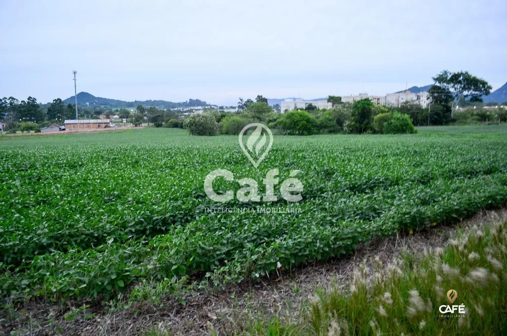 Terreno, 3 hectares - Foto 2