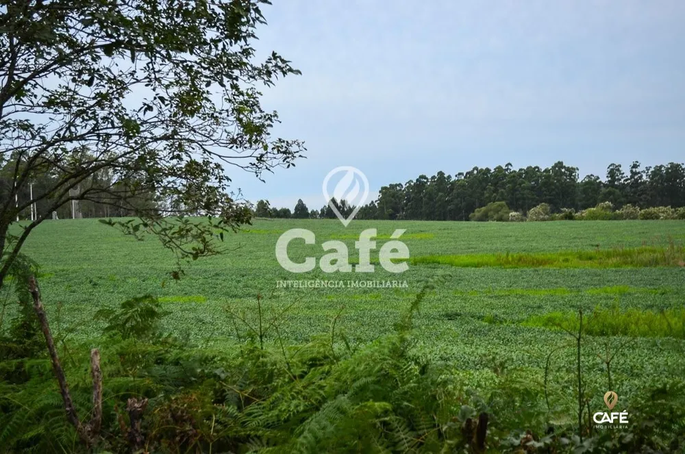 Terreno, 3 hectares - Foto 1
