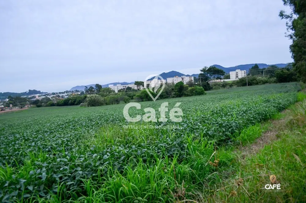 Terreno, 3 hectares - Foto 3