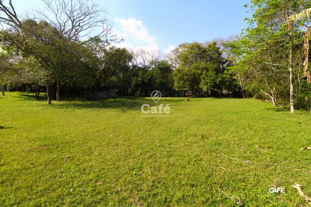 Chácara, 2 quartos, 8000 m² - Foto 4