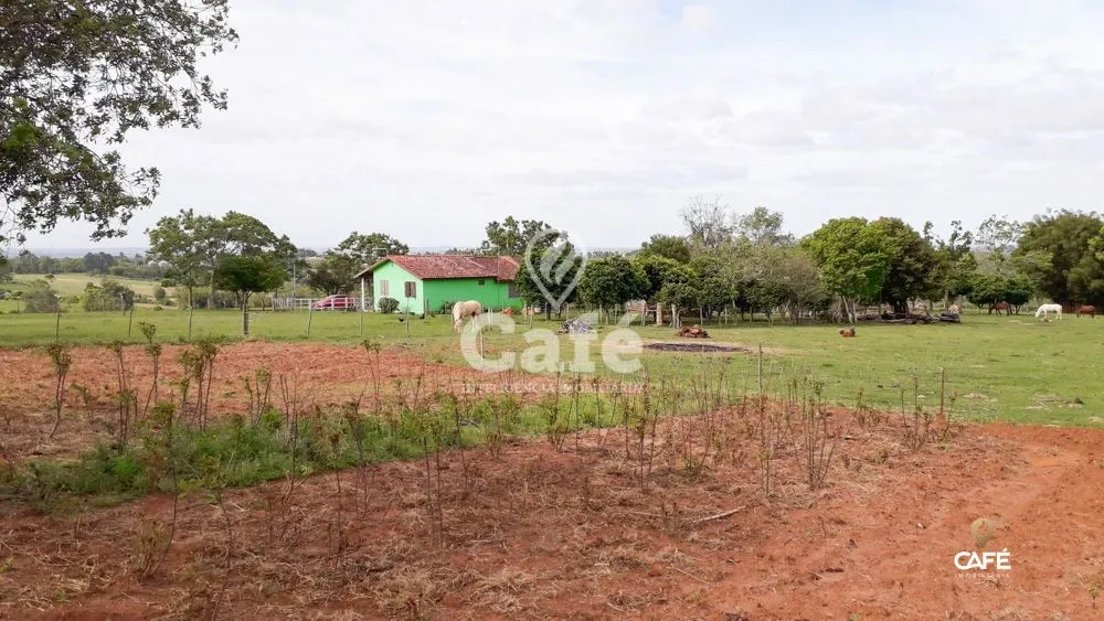 Sítio, 3 quartos, 150038 hectares - Foto 2
