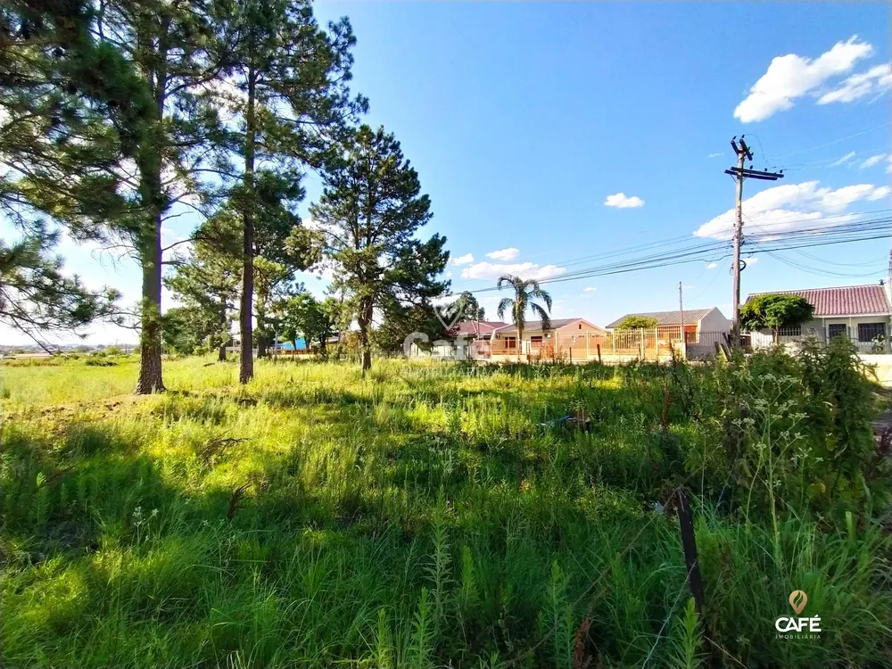 Terreno, 288 m² - Foto 1