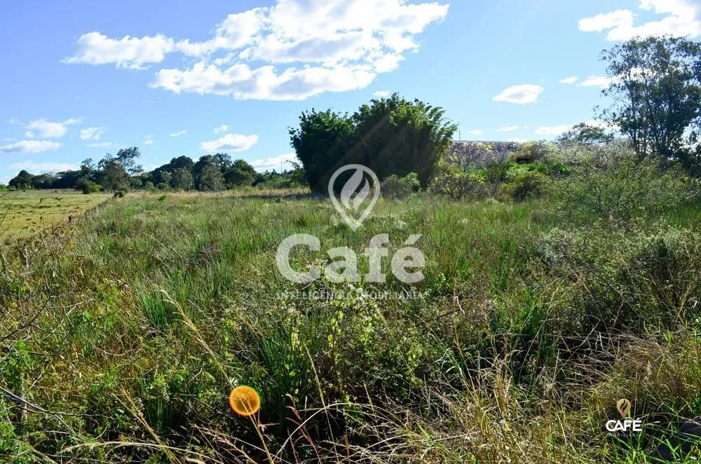 Terreno, 3 hectares - Foto 1