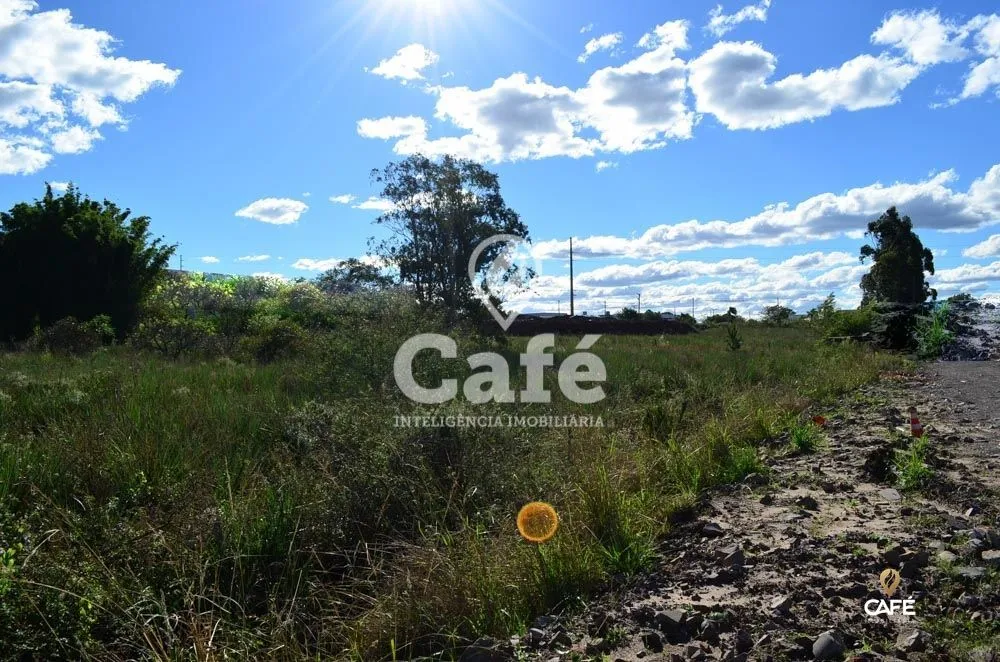 Terreno, 3 hectares - Foto 3