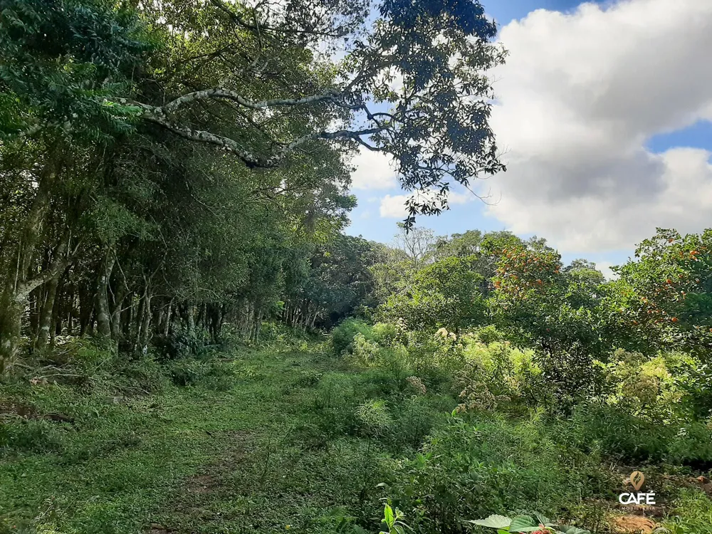 Loteamento e Condomínio, 180000 hectares - Foto 1