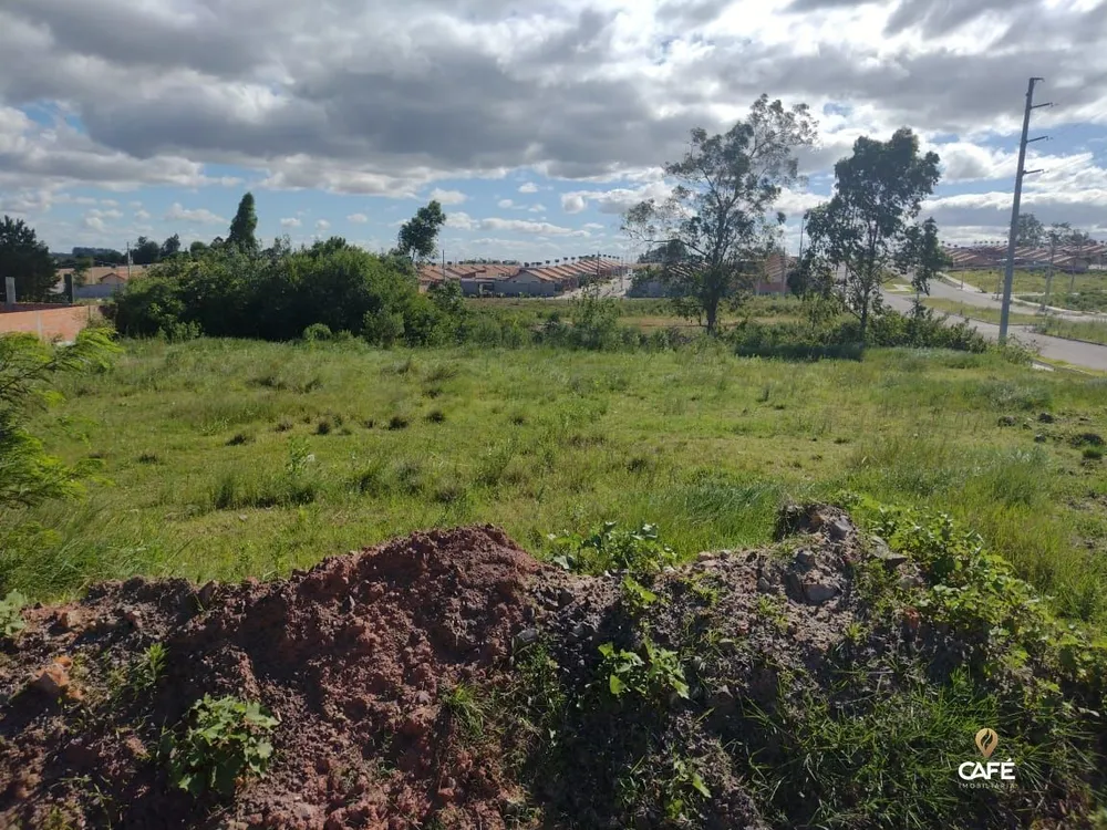 Terreno, 255 m² - Foto 2