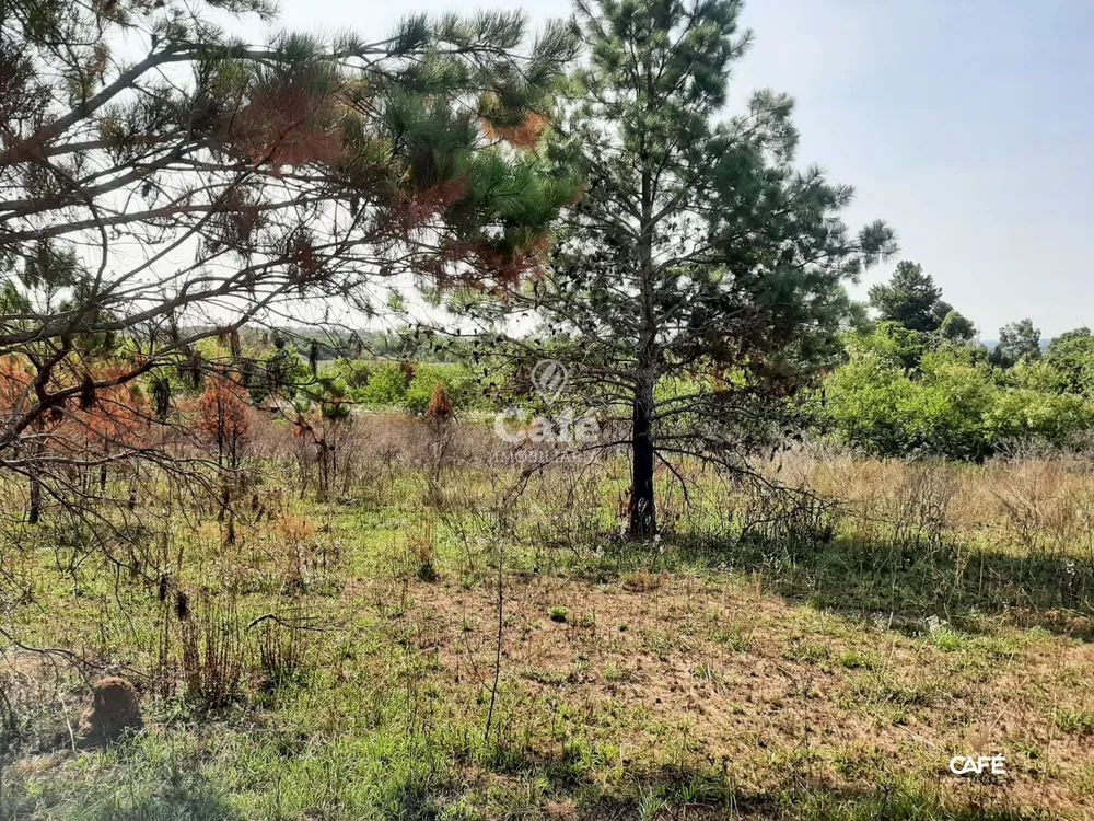 Terreno, 2000 m² - Foto 2