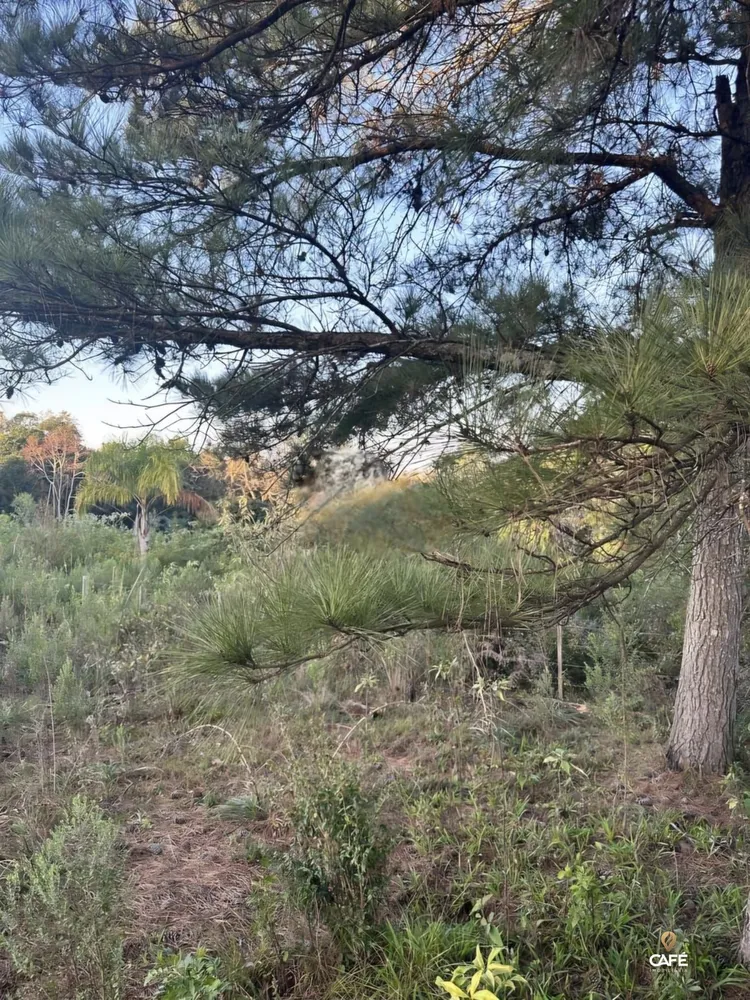 Terreno, 1080 m² - Foto 1