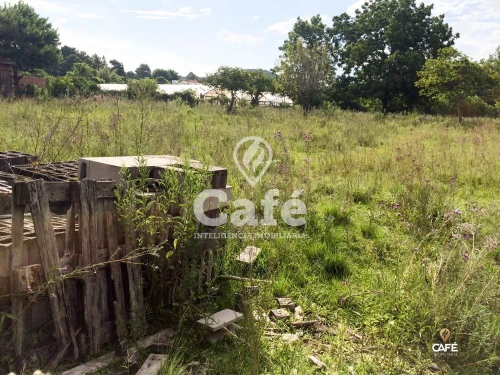 Terreno, 6400 m² - Foto 3