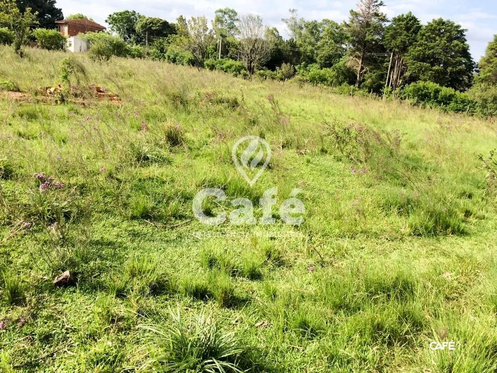 Terreno, 6400 m² - Foto 4