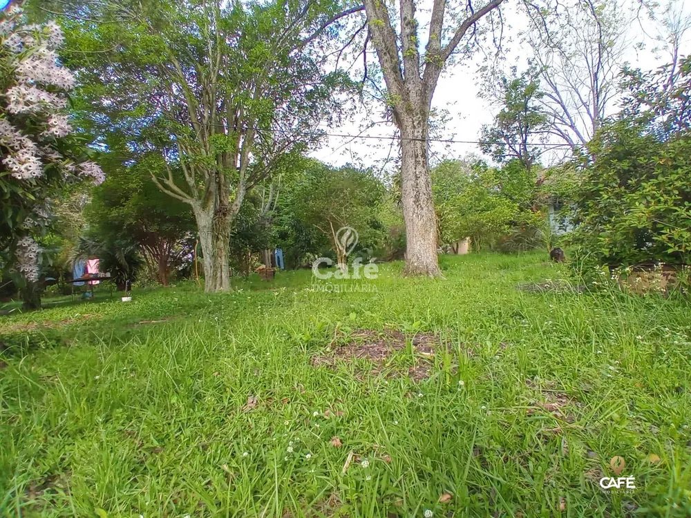Casa, 8 quartos, 600 m² - Foto 4