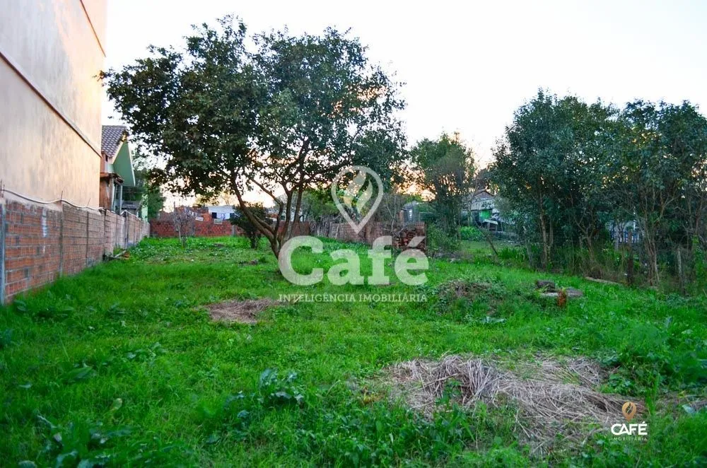 Terreno, 559 m² - Foto 2