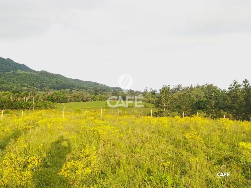 Terreno, 4 hectares - Foto 1