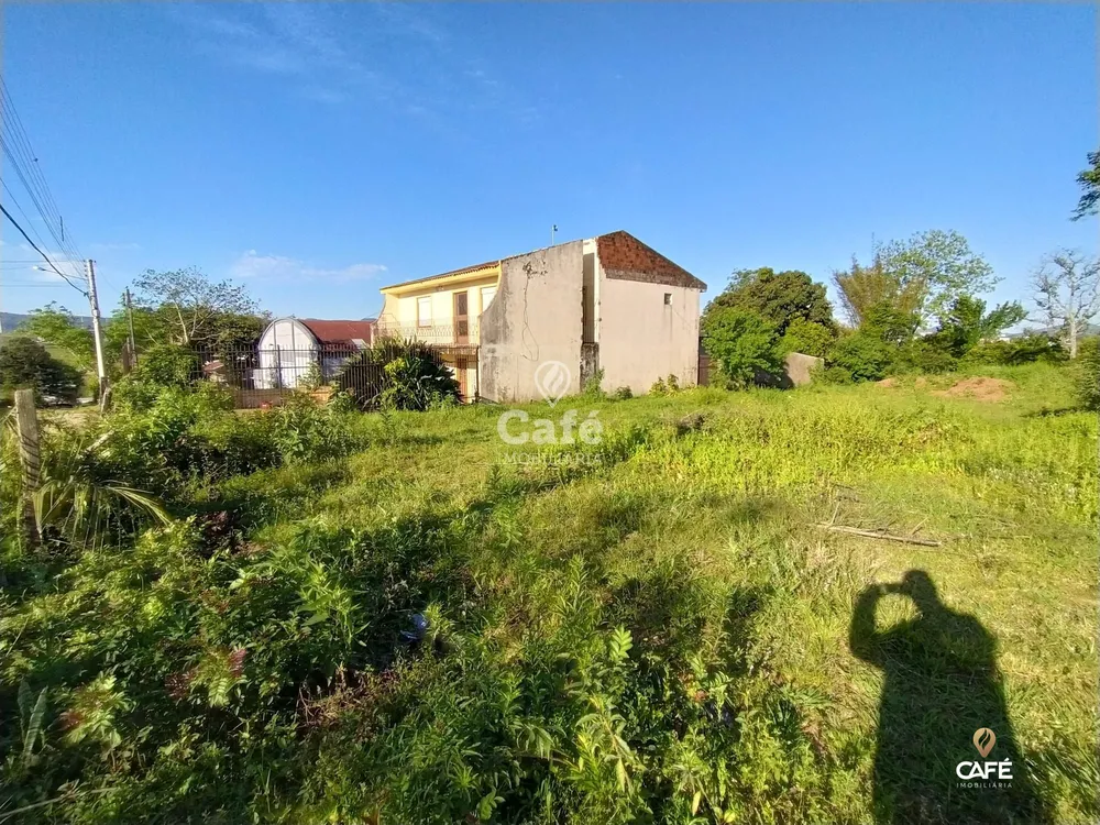 Terreno, 13 hectares - Foto 2