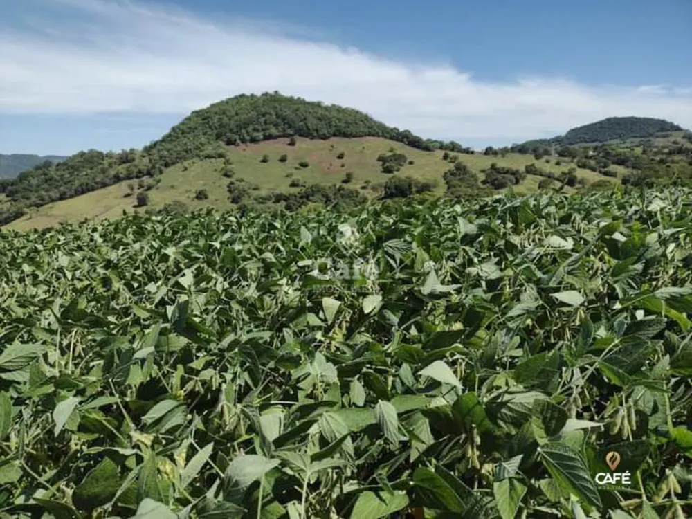 Loteamento e Condomínio, 270000 hectares - Foto 2