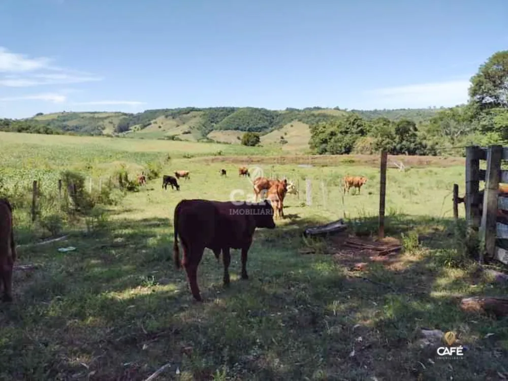 Loteamento e Condomínio, 270000 hectares - Foto 3