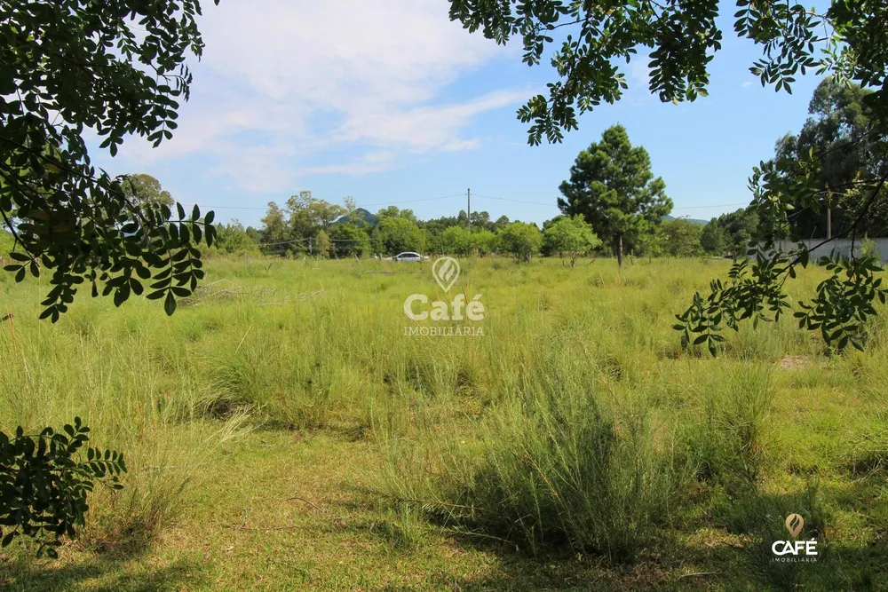 Terreno, 1 hectares - Foto 3