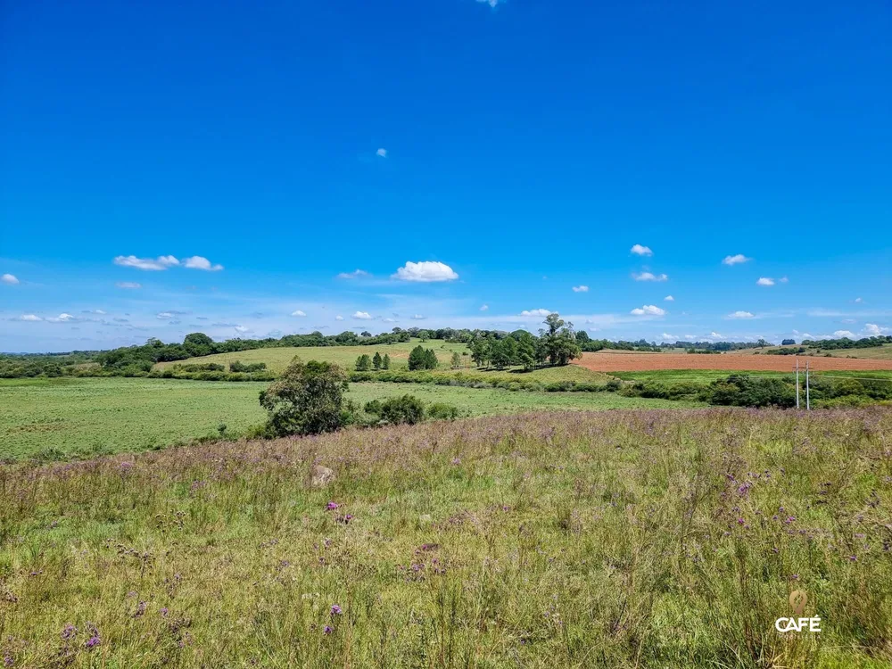 Loteamento e Condomínio, 50000 hectares - Foto 3
