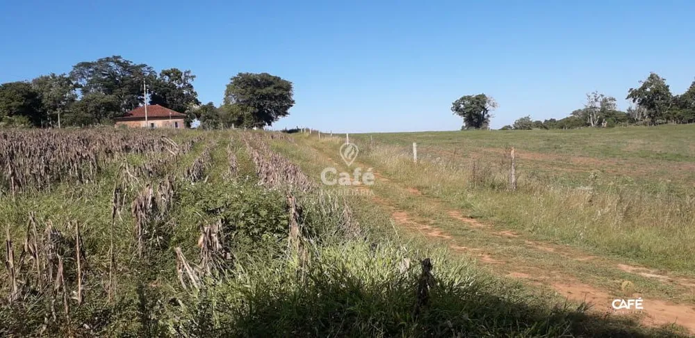 Chácara, 2 quartos, 500000000 hectares - Foto 3