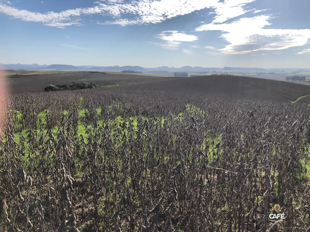 Loteamento e Condomínio, 1900000 hectares - Foto 2