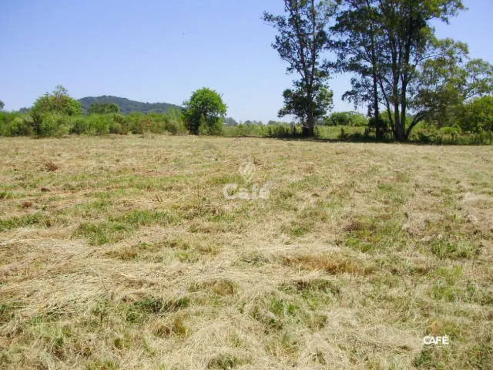 Terreno, 3500 m² - Foto 3
