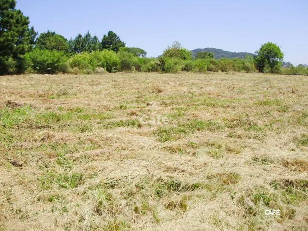 Terreno, 3500 m² - Foto 1