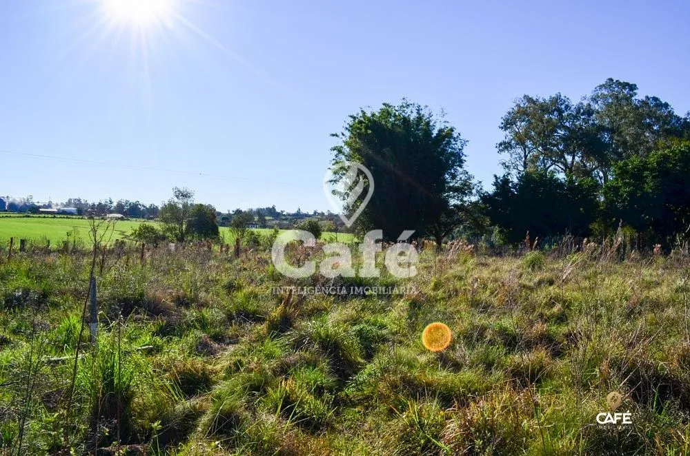 Terreno, 3600 m² - Foto 2