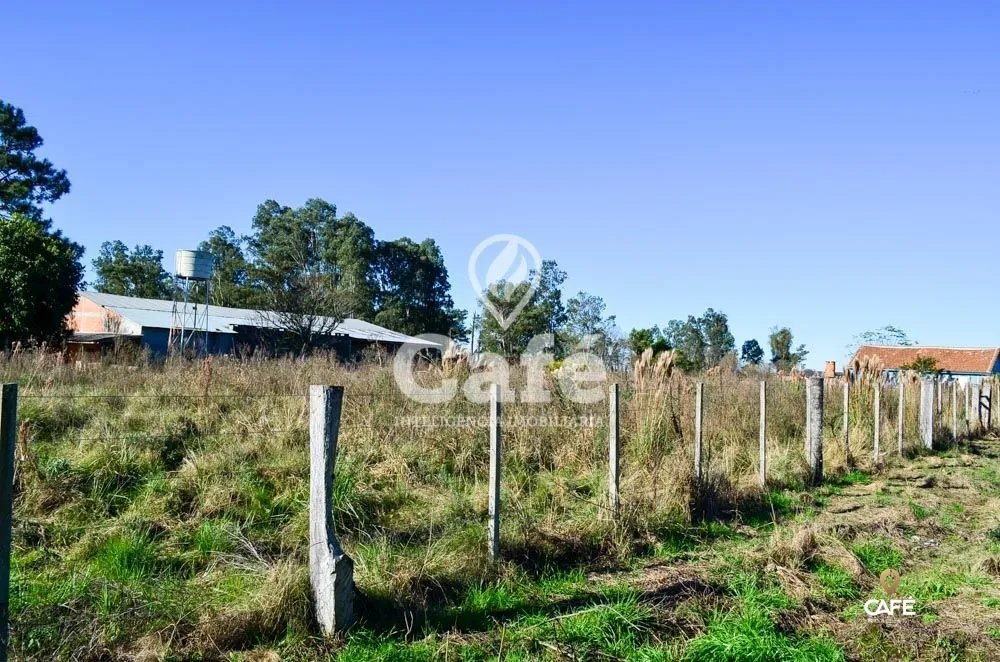 Terreno, 3600 m² - Foto 3