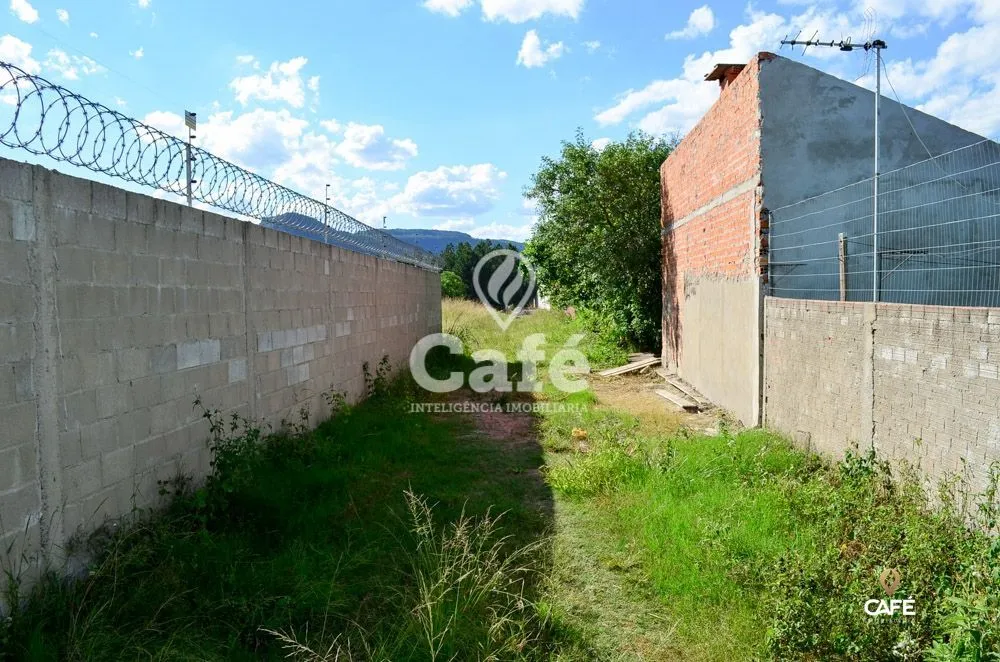 Terreno, 2561 m² - Foto 3